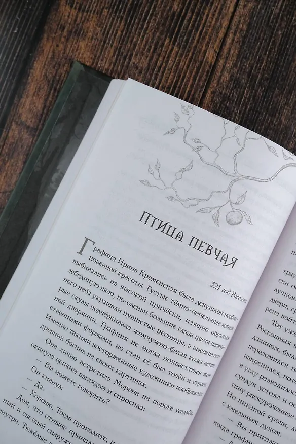 Книга Скиталец. Страшные сказки (Анастасия Князь) — 13