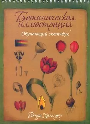 Ботаническая иллюстрация: обучающий скетчбук — 2569903 — 1