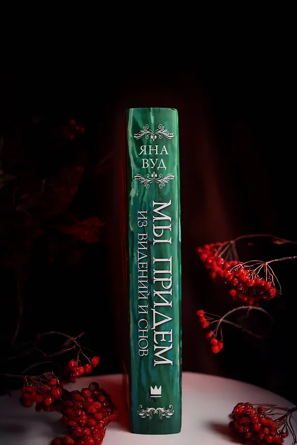 Книга Мы придем из видений и снов (Яна Вуд) — 11