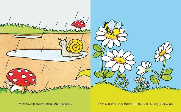 Книга На полянке (Елена Тарусина) — 4