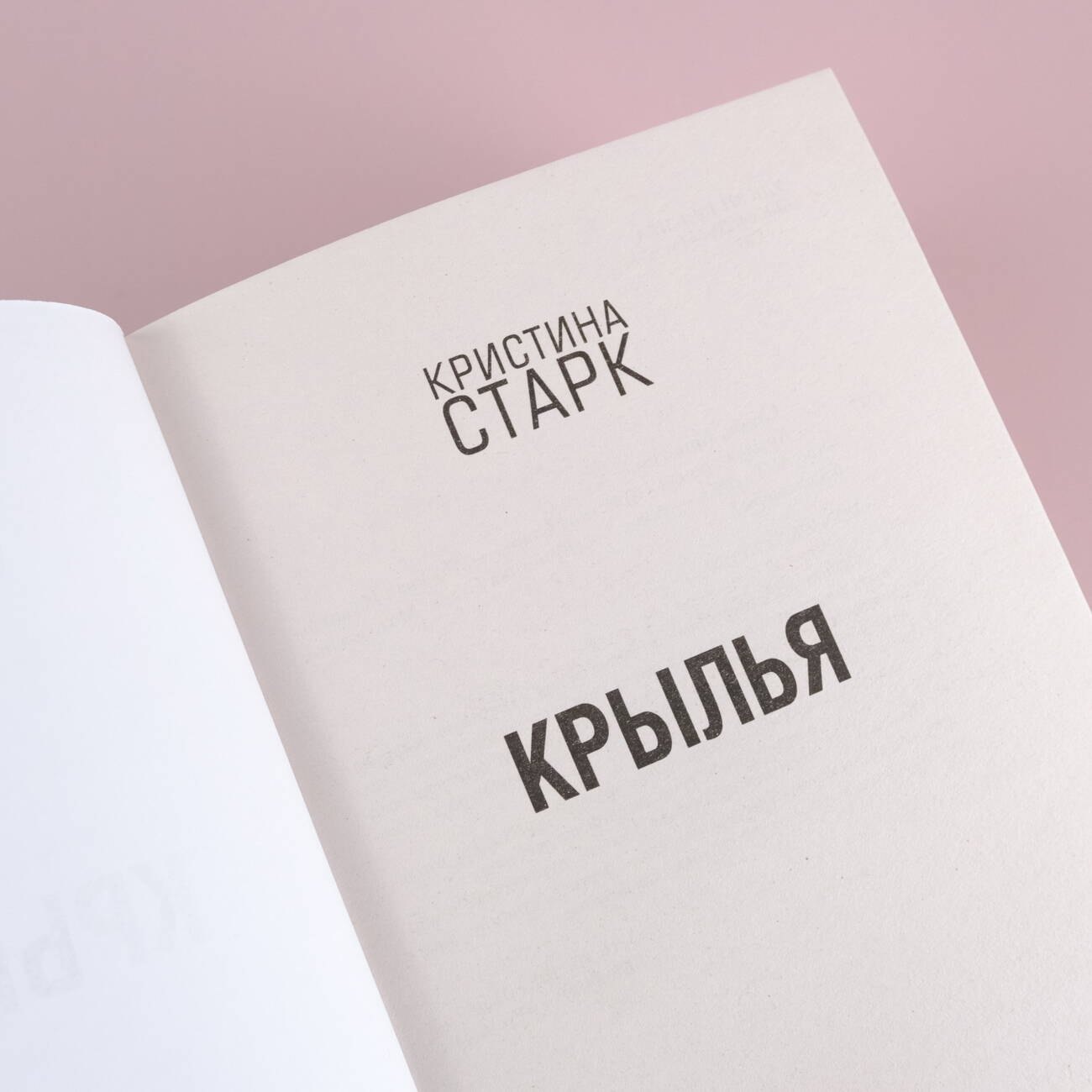 Изображение бумажной книги