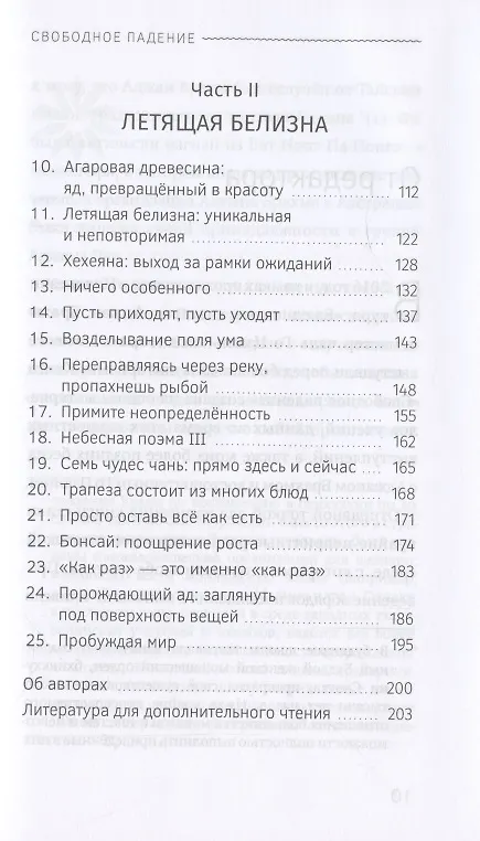 Книга Свободное падение. Дхамма встречи с неблагоприятным (Аджан Брахм) — 3