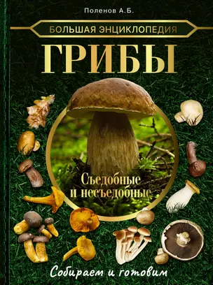 Большая энциклопедия. Грибы. Съедобные и несъедобные. Собираем и готовим — 2922888 — 1