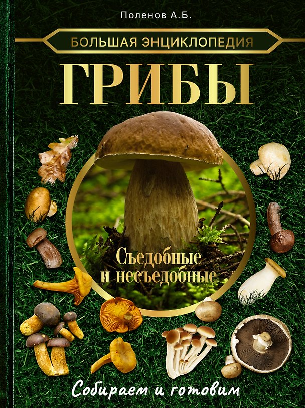 Книга Большая энциклопедия. Грибы. Съедобные и несъедобные. Собираем и готовим (Андрей Поленов) — 1