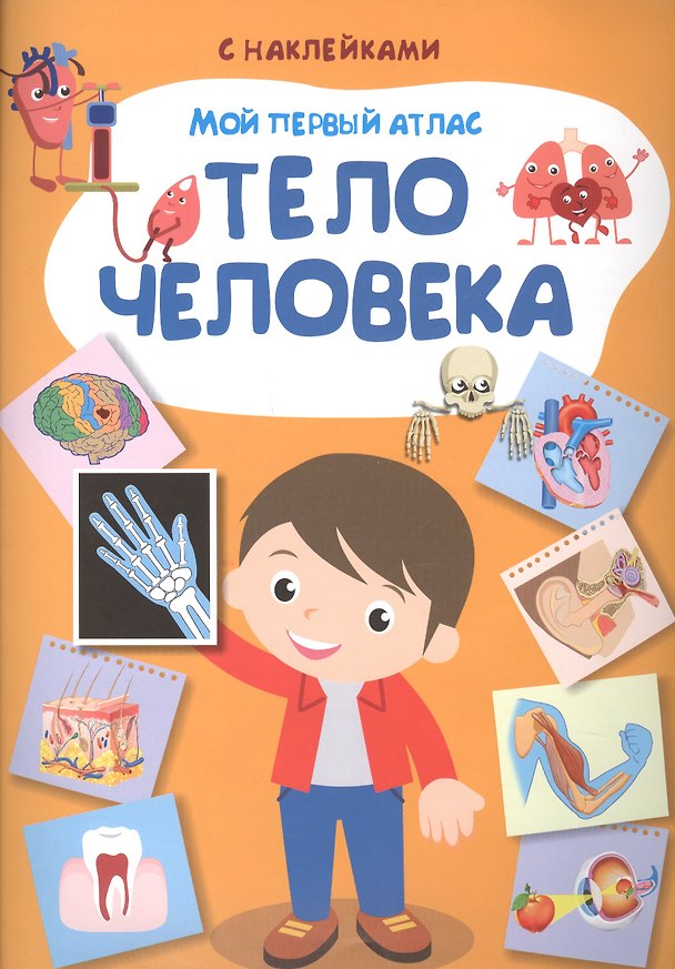 Книга Мой первый атлас. Тело человека (Е.С. Вахрушева) — 1