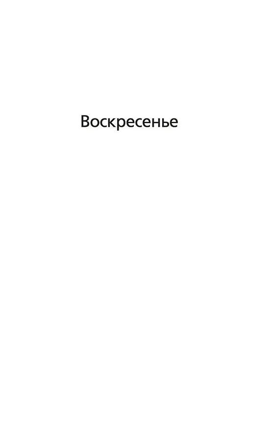 Книга Твоя тень (Джеффри Дивер) — 11