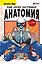 Еще более наглядная анатомия. Манхва — 3105172 — 1