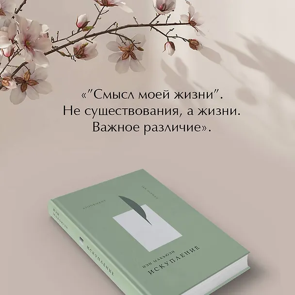 Книга Искупление (Иэн Расселл Макьюэн) — 9
