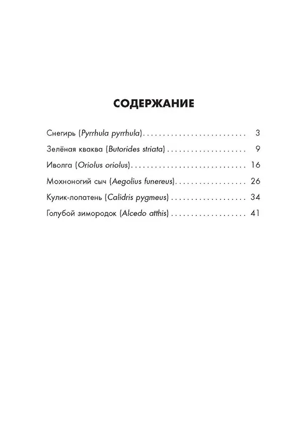 Книга Птичьи дети (Игорь Белый) — 2