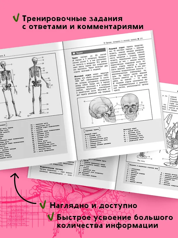Книга Биология. Наглядный справочник для подготовки к ОГЭ и ЕГЭ (Татьяна Никитинская) — 6