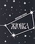 Жгонка — 3185201 — 1
