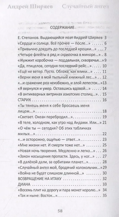 Книга Случайный ангел (Андрей Ширяев) — 2