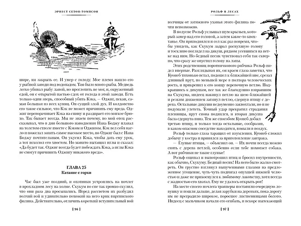 Книга Рольф в лесах. Лесные рассказы (Эрнест Сетон-Томпсон) — 33