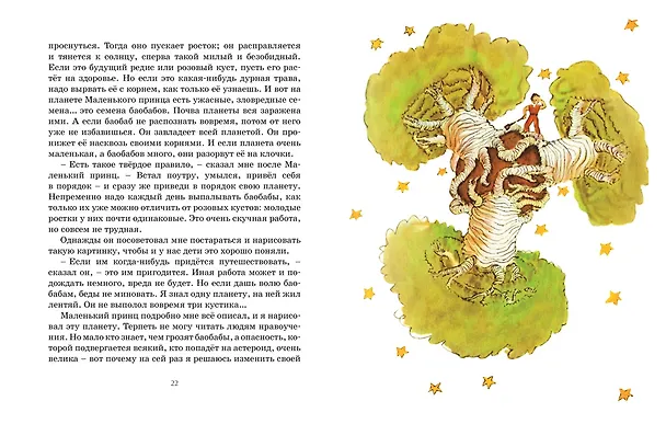 Книга Маленький принц (Антуан де Сент-Экзюпери) — 10
