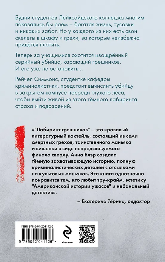 Книга Лабиринт грешников (Анна Блэр) — 2