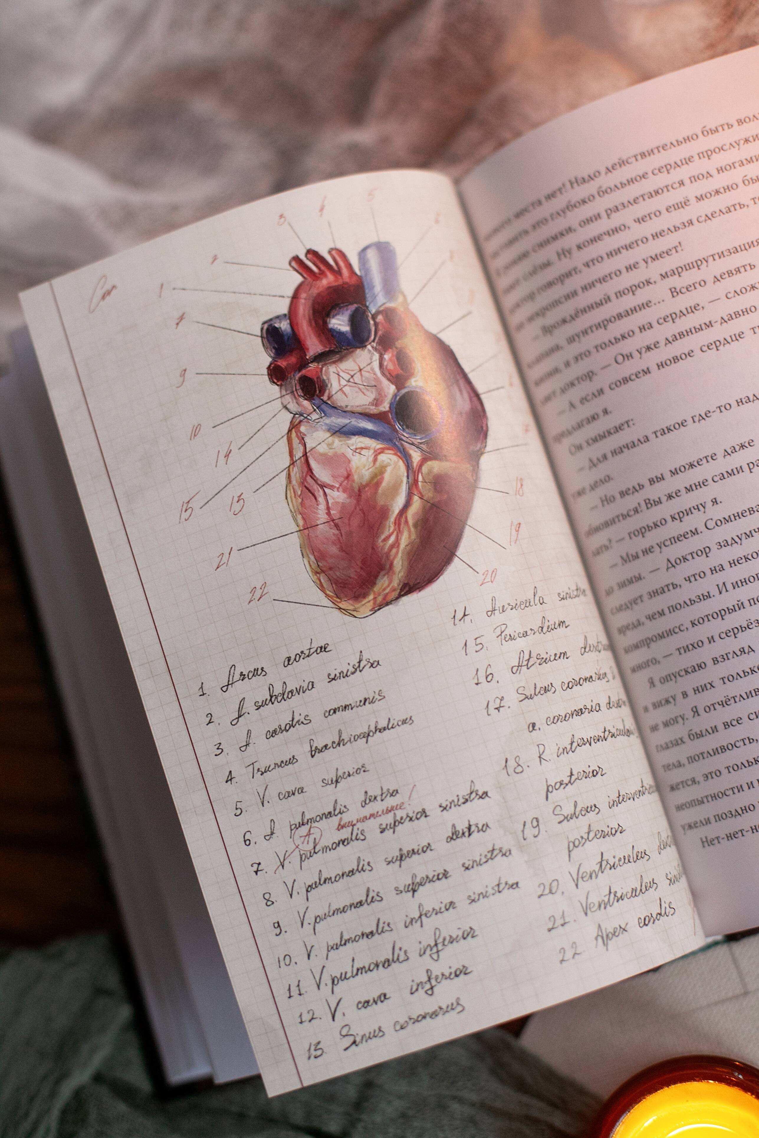 Изображение бумажной книги