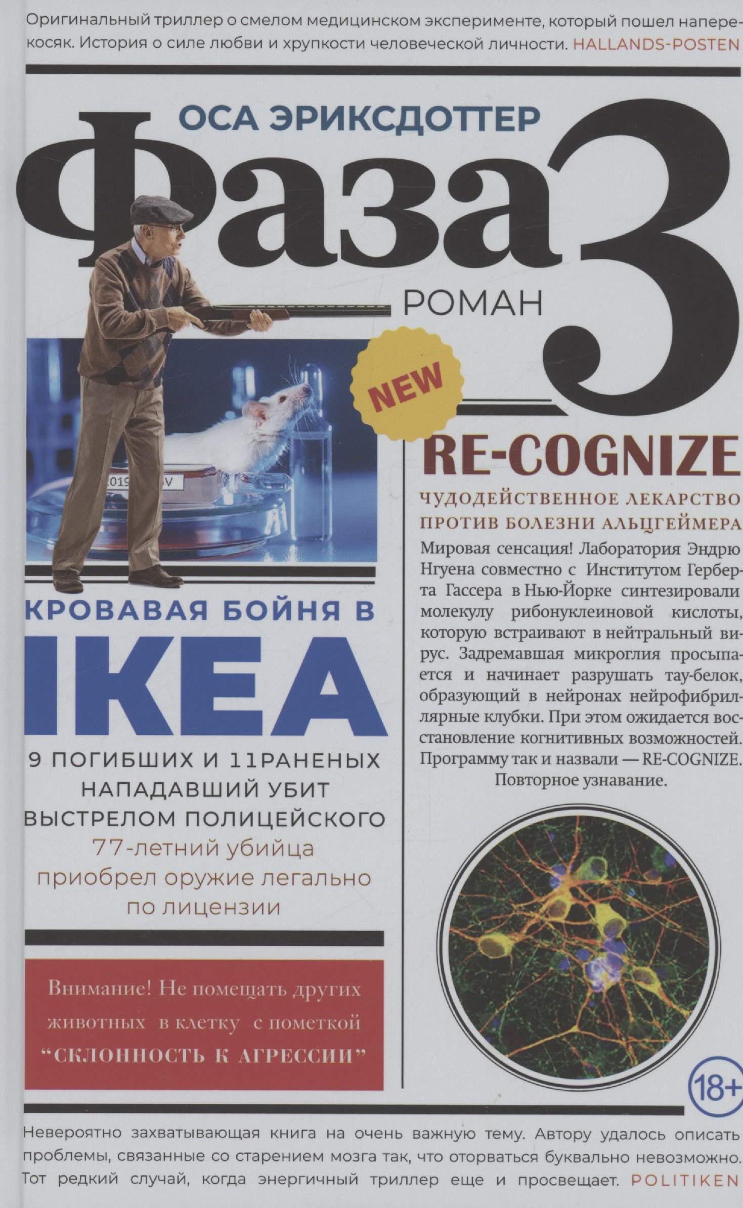 

Фаза 3