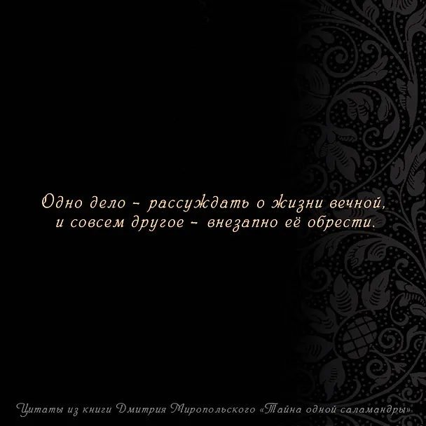 Книга Тайна одной саламандры (Дмитрий Миропольский) — 8