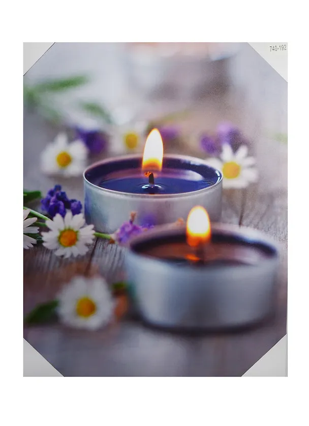 Картина с диодами 50х40 (740-192) 2506314 — 1