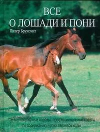 Книга Все о лошади и пони (Питер Бруксмит)