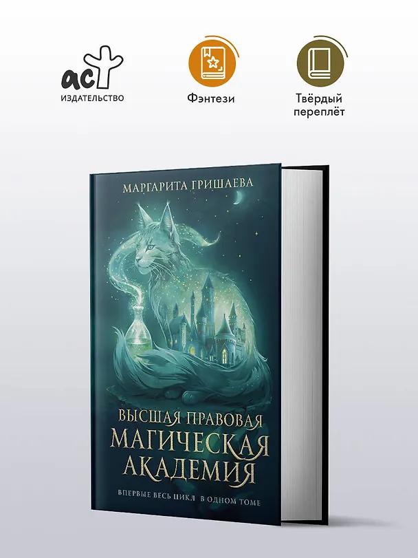 Книга Высшая правовая магическая академия (тетралогия) (Маргарита Гришаева) — 4