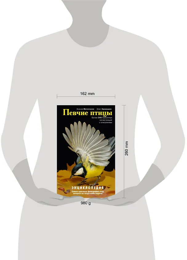Книга Певчие птицы: энциклопедия. / (+CD) (Ксения Митителло) — 4