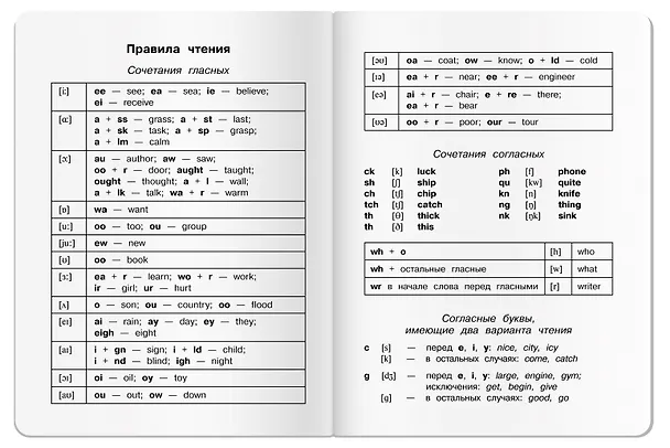 Тетрадь для записи английских слов «Капибары на байдарке», 32 листа в мелкую клетку, А6 - Airis 3059167 — 5