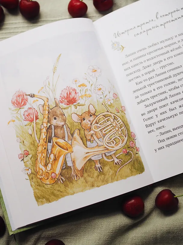 Книга Лапин (Юлия Симбирская) — 11