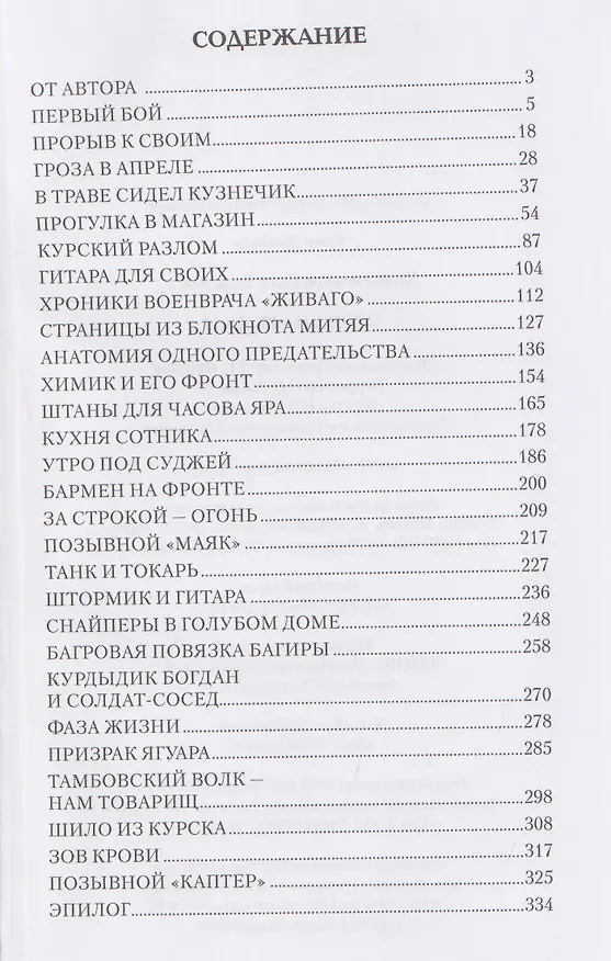Книга Слова на гильзе (Олег Холщевников) — 3