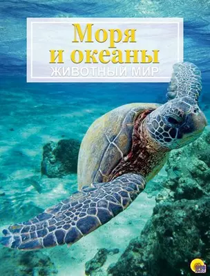 Моря и океаны. Животный мир — 2451085 — 1