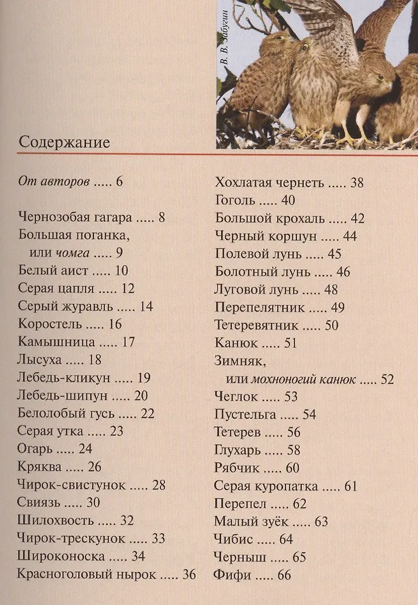 Книга Птицы европейской части России. Карманный справочник (Михаил Калякин) — 2