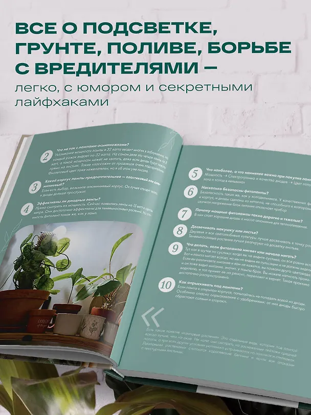 Книга Заклинатель комнатных растений. Секретные лайфхаки от профессионального цветовода (Евгения Лисова) — 8