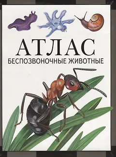 Атлас. Беспозвоночные животные