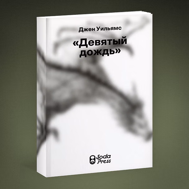 Книга Девятый дождь (Джен Уильямс) — 1