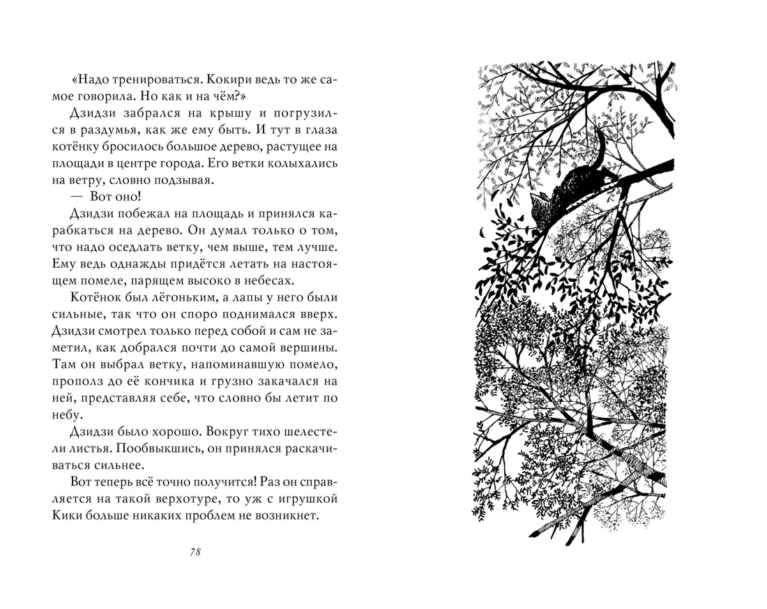 Ведьмина служба доставки. Кики и Дзидзи (Эйко Кадоно) - купить книгу с  доставкой в интернет-магазине «Читай-город». ISBN: 978-5-389-19158-7