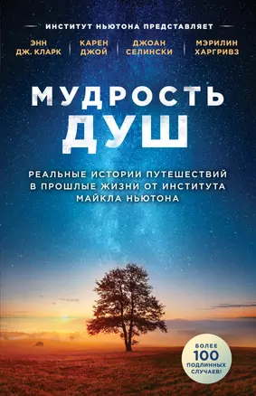 Мудрость душ. Реальные истории путешествий в прошлые жизни от Института Майкла Ньютона — 2798729 — 1