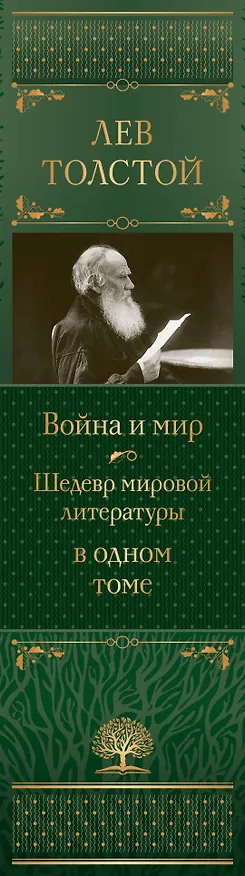 Книга Война и мир. Шедевр мировой литературы в одном томе (Лев Толстой) — 4