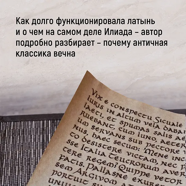 Книга Как натаскать вашу собаку по АНТИЧНОСТИ и разложить по полочкам основы греко-римской культуры (Филип Уомэк) — 7