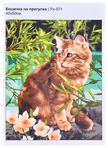 Картина по номерам "Кошечка на прогулке"