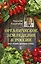 Органическое земледелие в России. Опыт лучших дачников страны — 2628263 — 1