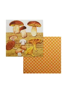 Набор салфеток для декупажа Грибное ассортиРозина оранжевый (10/9000024724693)