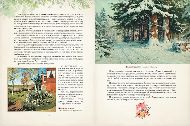 Книга Дары русского леса. Грибы, ягоды и целительные растения (Николай Золотницкий) — 14