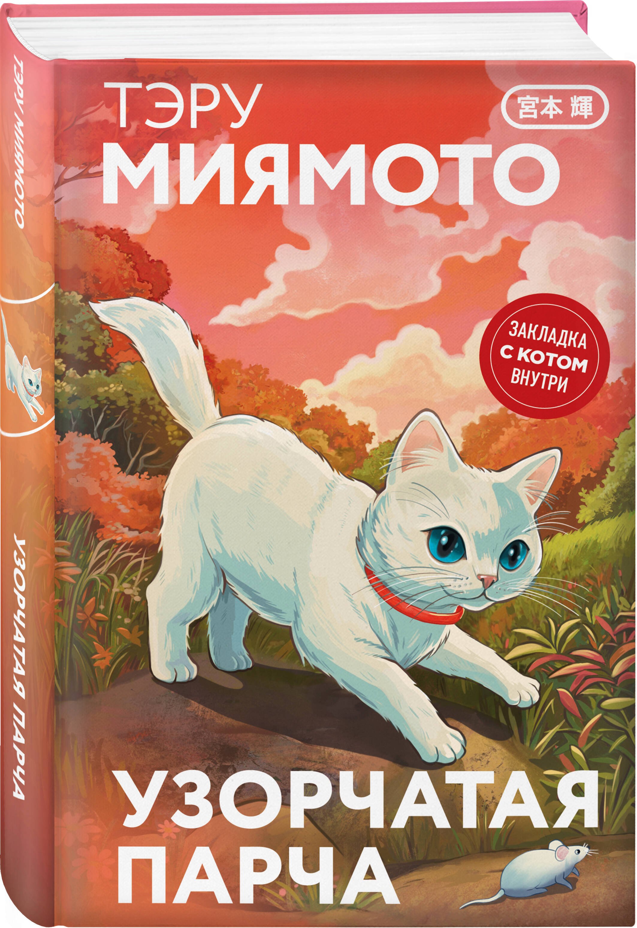 Изображение бумажной книги