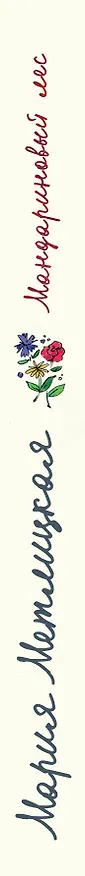 Книга Мандариновый лес (Мария Метлицкая) — 3