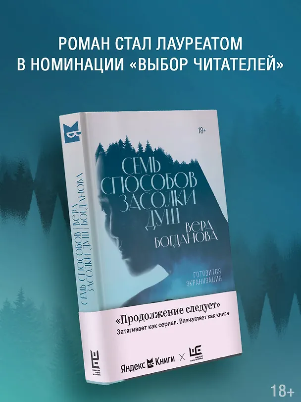 Книга Семь способов засолки душ (Вера Богданова) — 6