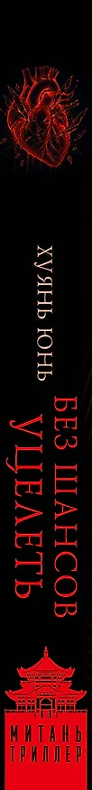 Книга Без шансов уцелеть (Юнь Хуянь) — 3