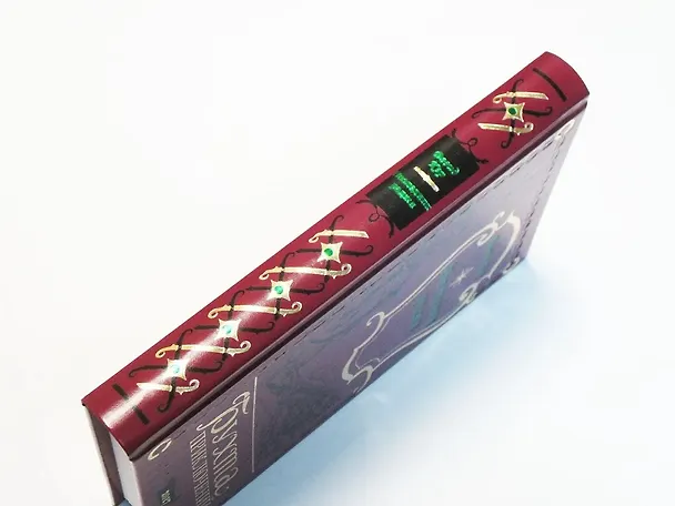 Книга Наследник раджи () — 13