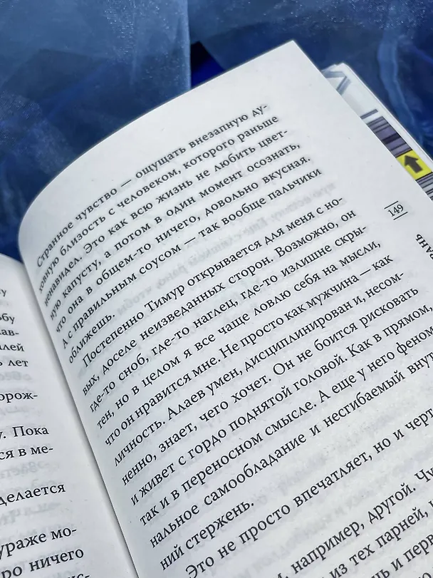 Книга Люби, но не рань (Татьяна Никандрова) — 17