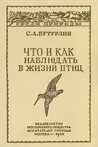 Что и как наблюдать в жизни птиц