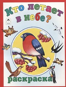 Кто летает в небе